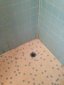 mold in bathrooms